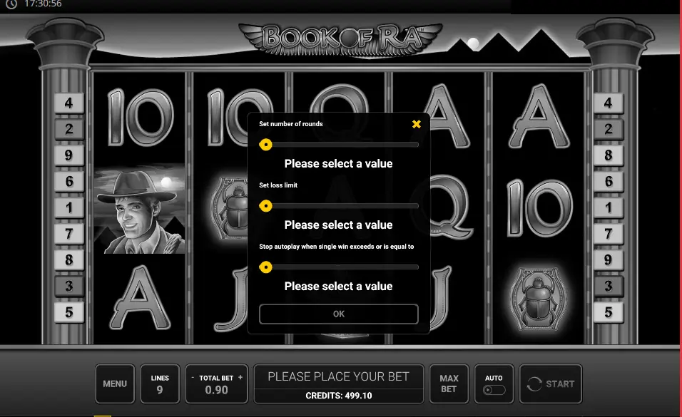 Book of Ra Interface Book of Ra Interface